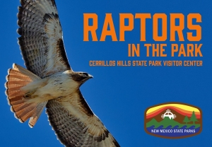 Raptors in the Park