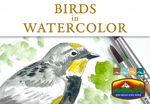Birds in Watercolor