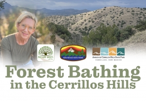 Forest Bathing in the Cerrillos Hills