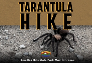 Tarantula Hike