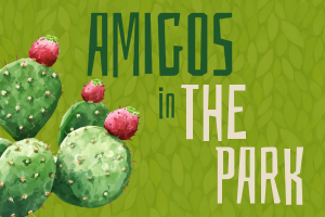 Amigos in the Park