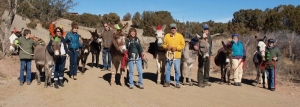 Amigos’ Art in the Park and annual Turquoise Trail Pack Burro Race