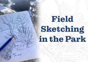 Field Sketching in the Park
