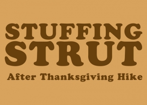 Stuffing Strut