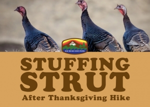 Stuffing Strut